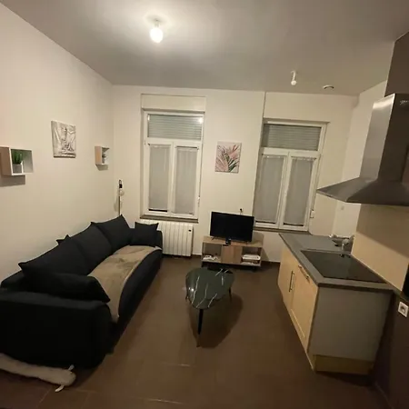 Apartamento La Pirouette*wifi*proche Gare Sncf Amiens